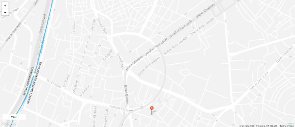 map-thumbnail